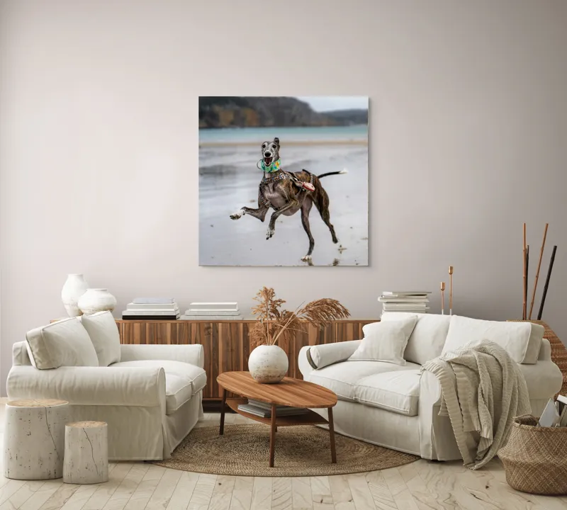 Tablou Canvas, "Câine fericit pe plajă pustie", Sumbru, Spiriduș, Agil, Jucăuș, Viu, Insuflețit, Litoral, Plajă, Săritor, Pata, Libertate, Nebunie, 100 x 100 cm – poza 3