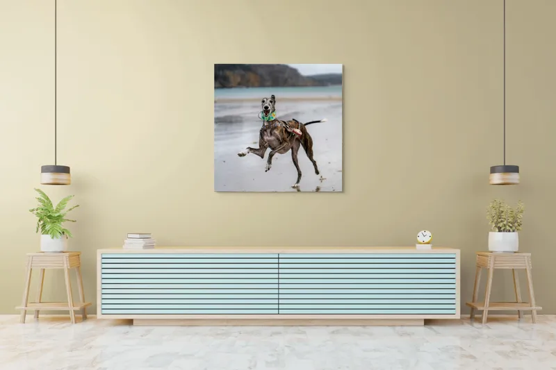 Tablou Canvas, "Câine fericit pe plajă pustie", Sumbru, Spiriduș, Agil, Jucăuș, Viu, Insuflețit, Litoral, Plajă, Săritor, Pata, Libertate, Nebunie, 100 x 100 cm – poza 5
