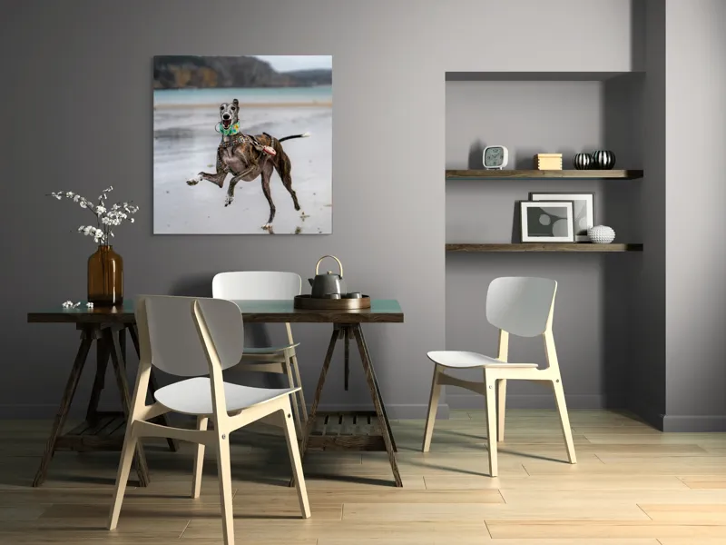 Tablou Canvas, "Câine fericit pe plajă pustie", Sumbru, Spiriduș, Agil, Jucăuș, Viu, Insuflețit, Litoral, Plajă, Săritor, Pata, Libertate, Nebunie, 100 x 100 cm – poza 6