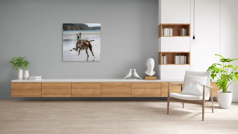 Tablou Canvas, "Câine fericit pe plajă pustie", Sumbru, Spiriduș, Agil, Jucăuș, Viu, Insuflețit, Litoral, Plajă, Săritor, Pata, Libertate, Nebunie, 100 x 100 cm – poza 8