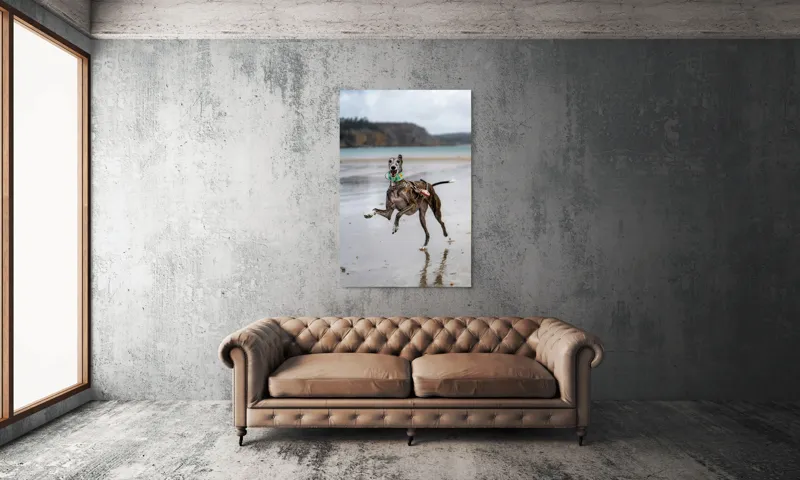 Tablou Canvas, "Câine fericit pe plajă pustie", Sumbru, Spiriduș, Agil, Jucăuș, Viu, Insuflețit, Litoral, Plajă, Săritor, Pata, Libertate, Nebunie, 100 x 150 cm – poza 6