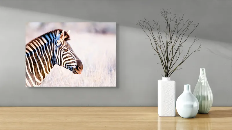 Tablou Canvas, "Zebră în lumina dimineții africane", Zebră, Dungată, Savana, Natură, Frumusețe, Contrast, Patrulape, Sălbatică, Unicitate, Serenitate, 54 x 39 cm – poza 3