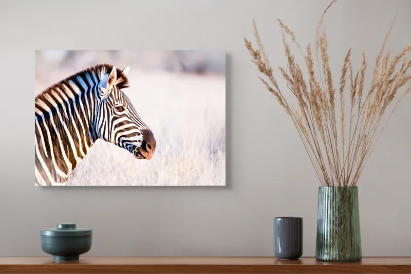 Tablou Canvas, "Zebră în lumina dimineții africane", Zebră, Dungată, Savana, Natură, Frumusețe, Contrast, Patrulape, Sălbatică, Unicitate, Serenitate, 54 x 39 cm – poza 4