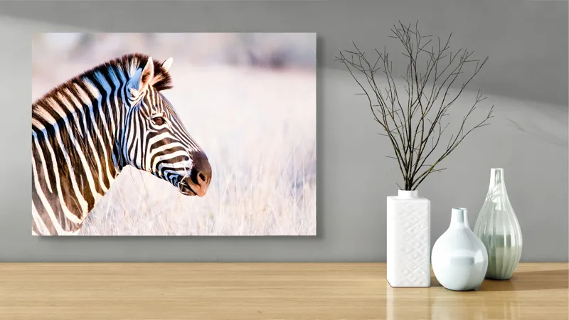 Tablou Canvas, "Zebră în lumina dimineții africane", Zebră, Dungată, Savana, Natură, Frumusețe, Contrast, Patrulape, Sălbatică, Unicitate, Serenitate, 70 x 50 cm – poza 3