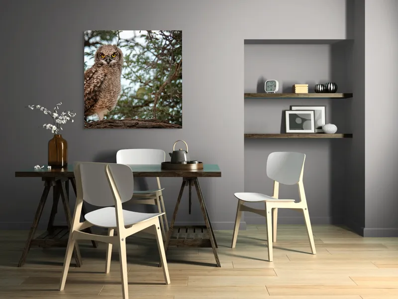 Tablou Canvas, "Pui de bufniță în copac verde", Bufniță, Ramură, Pene, Privire, Natură, Arbori, Ochi, Mister, Timp, Frunziș, 100 x 100 cm – poza 6