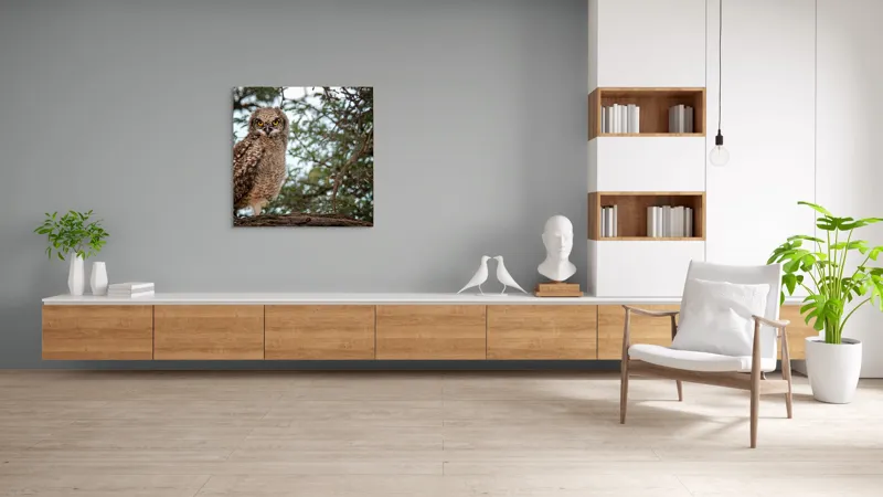 Tablou Canvas, "Pui de bufniță în copac verde", Bufniță, Ramură, Pene, Privire, Natură, Arbori, Ochi, Mister, Timp, Frunziș, 100 x 100 cm – poza 8