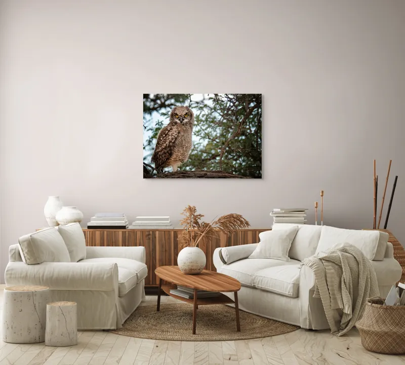 Tablou Canvas, "Pui de bufniță în copac verde", Bufniță, Ramură, Pene, Privire, Natură, Arbori, Ochi, Mister, Timp, Frunziș, 100 x 70 cm – poza 3