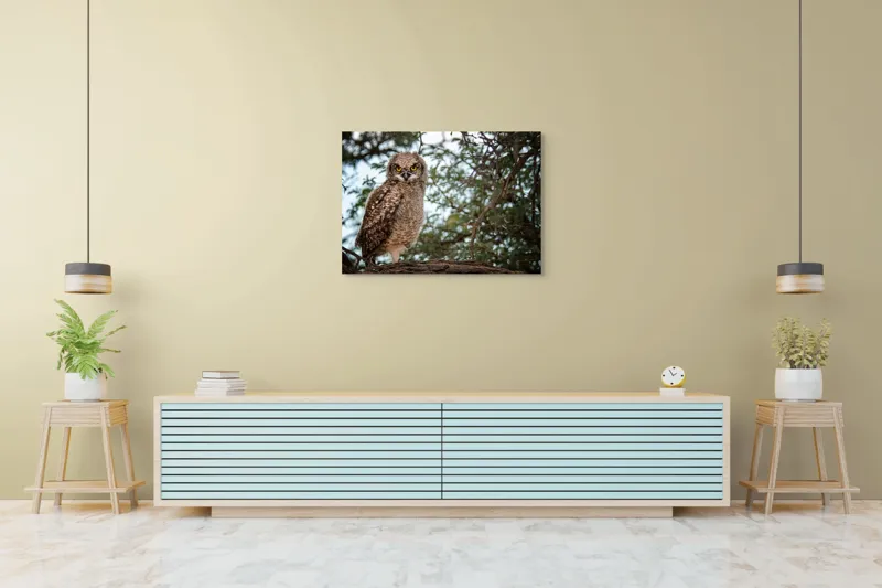 Tablou Canvas, "Pui de bufniță în copac verde", Bufniță, Ramură, Pene, Privire, Natură, Arbori, Ochi, Mister, Timp, Frunziș, 100 x 70 cm – poza 4