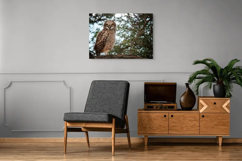 Tablou Canvas, "Pui de bufniță în copac verde", Bufniță, Ramură, Pene, Privire, Natură, Arbori, Ochi, Mister, Timp, Frunziș, 100 x 70 cm – poza 8