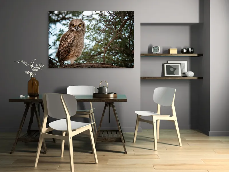 Tablou Canvas, "Pui de bufniță în copac verde", Bufniță, Ramură, Pene, Privire, Natură, Arbori, Ochi, Mister, Timp, Frunziș, 150 x 100 cm – poza 5