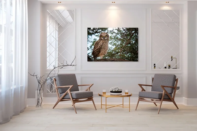 Tablou Canvas, "Pui de bufniță în copac verde", Bufniță, Ramură, Pene, Privire, Natură, Arbori, Ochi, Mister, Timp, Frunziș, 150 x 100 cm – poza 7