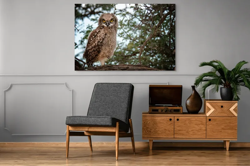 Tablou Canvas, "Pui de bufniță în copac verde", Bufniță, Ramură, Pene, Privire, Natură, Arbori, Ochi, Mister, Timp, Frunziș, 150 x 100 cm – poza 8