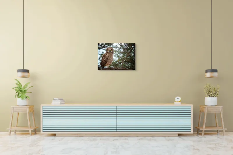 Tablou Canvas, "Pui de bufniță în copac verde", Bufniță, Ramură, Pene, Privire, Natură, Arbori, Ochi, Mister, Timp, Frunziș, 70 x 50 cm – poza 7