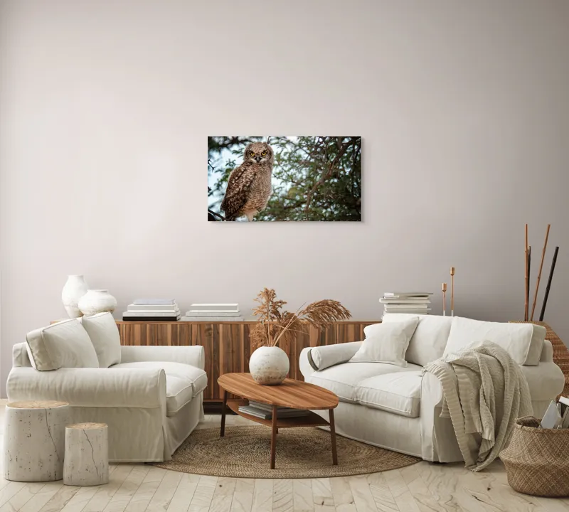 Tablou Canvas, "Pui de bufniță în copac verde", Bufniță, Ramură, Pene, Privire, Natură, Arbori, Ochi, Mister, Timp, Frunziș, 90 x 50 cm – poza 4