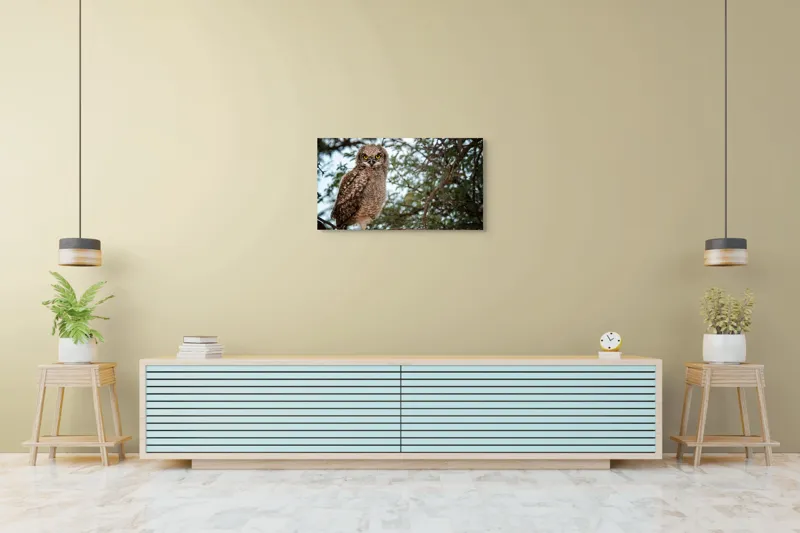 Tablou Canvas, "Pui de bufniță în copac verde", Bufniță, Ramură, Pene, Privire, Natură, Arbori, Ochi, Mister, Timp, Frunziș, 90 x 50 cm – poza 5