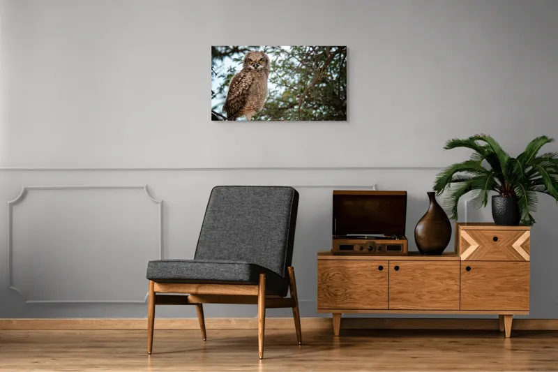 Tablou Canvas, "Pui de bufniță în copac verde", Bufniță, Ramură, Pene, Privire, Natură, Arbori, Ochi, Mister, Timp, Frunziș, 90 x 50 cm – poza 6