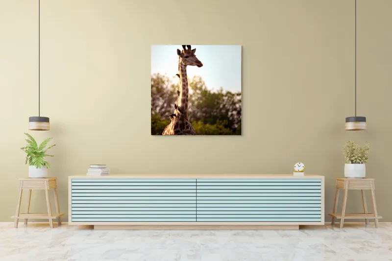 Tablou Canvas, "Girafa între crengi și lumină blândă", Giraffe, Nature, Sunlight, Trees, Wildlife, Birds, 100 x 100 cm – poza 5