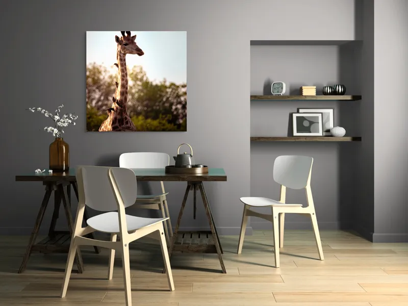 Tablou Canvas, "Girafa între crengi și lumină blândă", Giraffe, Nature, Sunlight, Trees, Wildlife, Birds, 100 x 100 cm – poza 6