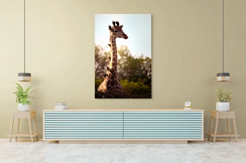 Tablou Canvas, "Girafa între crengi și lumină blândă", Giraffe, Nature, Sunlight, Trees, Wildlife, Birds, 100 x 150 cm – poza 4