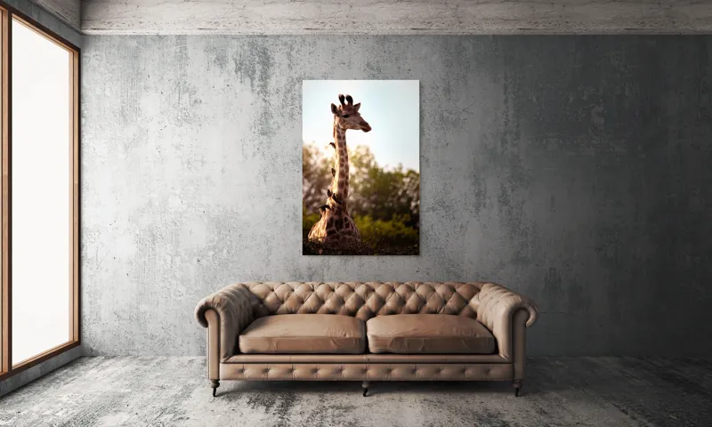 Tablou Canvas, "Girafa între crengi și lumină blândă", Giraffe, Nature, Sunlight, Trees, Wildlife, Birds, 100 x 150 cm – poza 6
