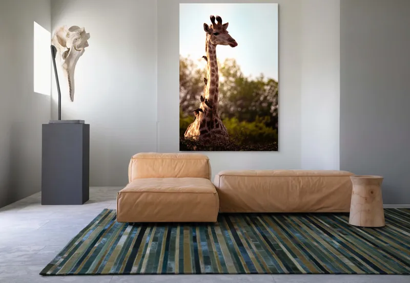 Tablou Canvas, "Girafa între crengi și lumină blândă", Giraffe, Nature, Sunlight, Trees, Wildlife, Birds, 100 x 150 cm – poza 7