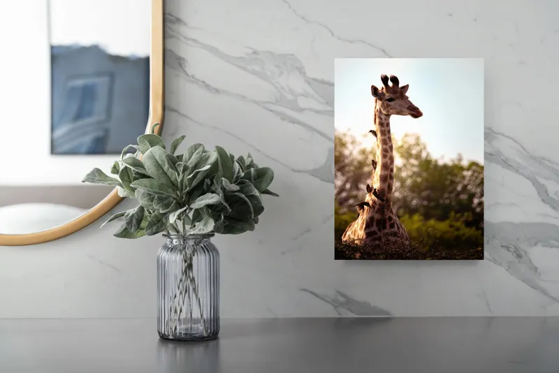 Tablou Canvas, "Girafa între crengi și lumină blândă", Giraffe, Nature, Sunlight, Trees, Wildlife, Birds, 26 x 39 cm – poza 4