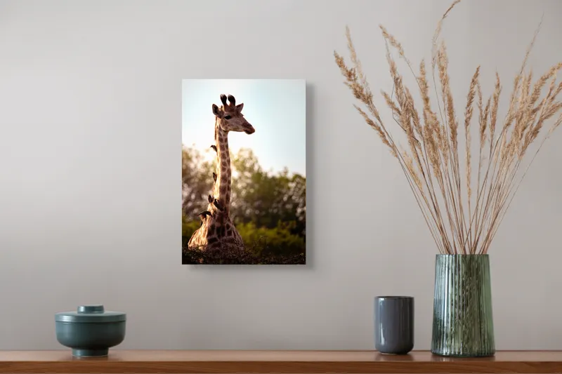Tablou Canvas, "Girafa între crengi și lumină blândă", Giraffe, Nature, Sunlight, Trees, Wildlife, Birds, 26 x 39 cm – poza 5