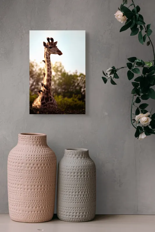 Tablou Canvas, "Girafa între crengi și lumină blândă", Giraffe, Nature, Sunlight, Trees, Wildlife, Birds, 26 x 39 cm – poza 6