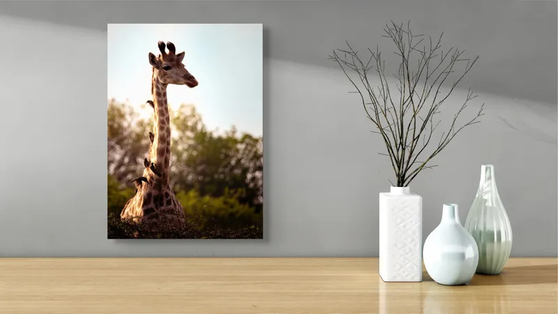 Tablou Canvas, "Girafa între crengi și lumină blândă", Giraffe, Nature, Sunlight, Trees, Wildlife, Birds, 39 x 54 cm – poza 4