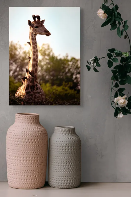 Tablou Canvas, "Girafa între crengi și lumină blândă", Giraffe, Nature, Sunlight, Trees, Wildlife, Birds, 39 x 54 cm – poza 6