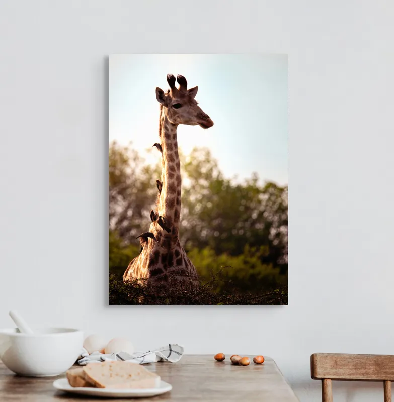Tablou Canvas, "Girafa între crengi și lumină blândă", Giraffe, Nature, Sunlight, Trees, Wildlife, Birds, 50 x 70 cm – poza 3