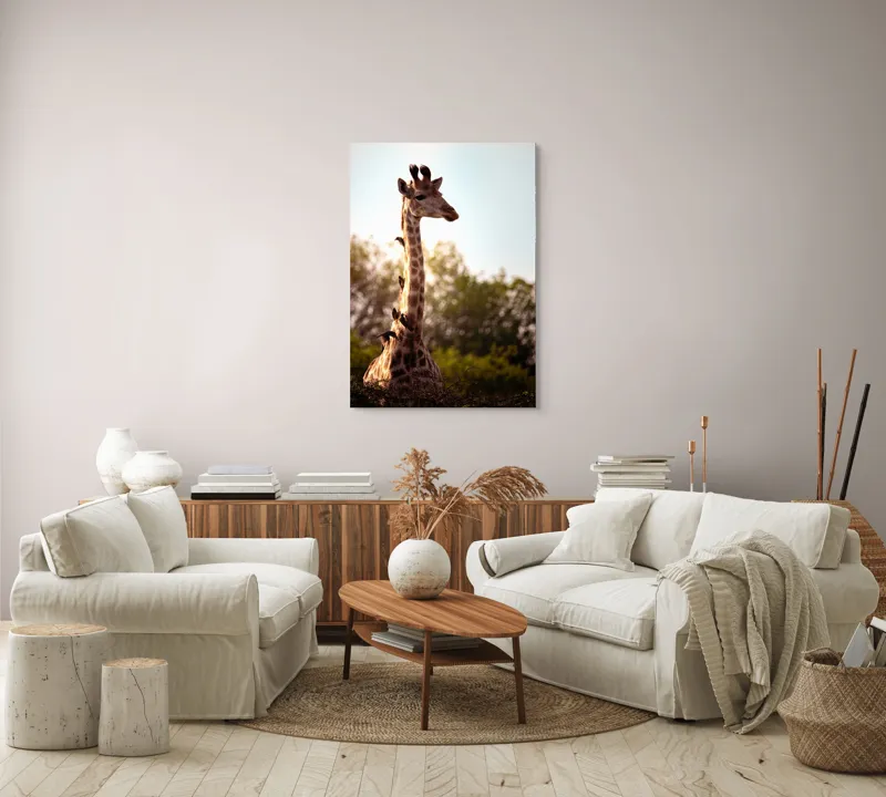 Tablou Canvas, "Girafa între crengi și lumină blândă", Giraffe, Nature, Sunlight, Trees, Wildlife, Birds, 70 x 100 cm – poza 4