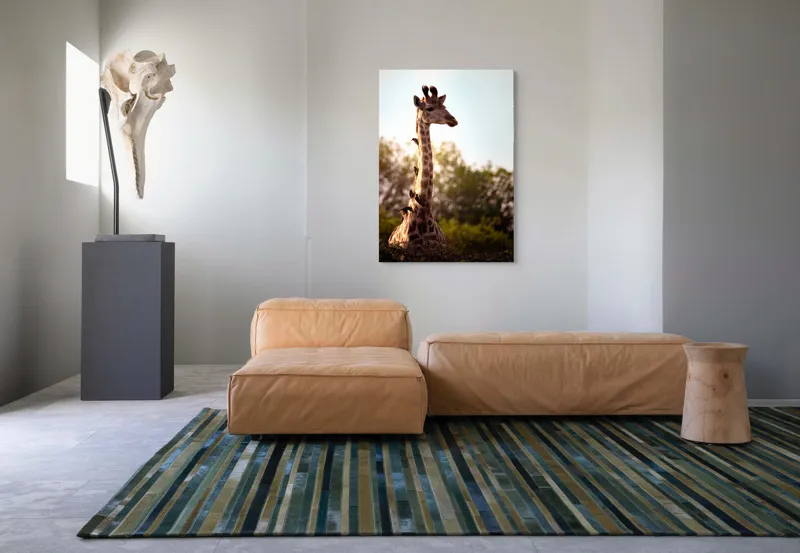 Tablou Canvas, "Girafa între crengi și lumină blândă", Giraffe, Nature, Sunlight, Trees, Wildlife, Birds, 70 x 100 cm – poza 7