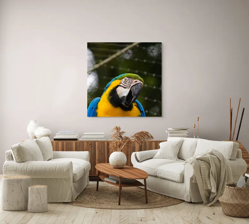 Tablou Canvas, "Papagalul curcubeu în libertate zburdalnică", Pasăre, Colorată, Papagal, Ara, Plasă, Fundal, Verde, Albastru, Galben, Privire, Pene, 100 x 100 cm – poza 3