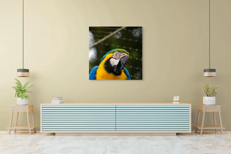 Tablou Canvas, "Papagalul curcubeu în libertate zburdalnică", Pasăre, Colorată, Papagal, Ara, Plasă, Fundal, Verde, Albastru, Galben, Privire, Pene, 100 x 100 cm – poza 5