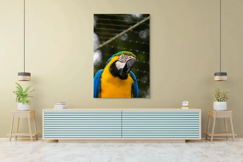 Tablou Canvas, "Papagalul curcubeu în libertate zburdalnică", Pasăre, Colorată, Papagal, Ara, Plasă, Fundal, Verde, Albastru, Galben, Privire, Pene, 100 x 150 cm – poza 4