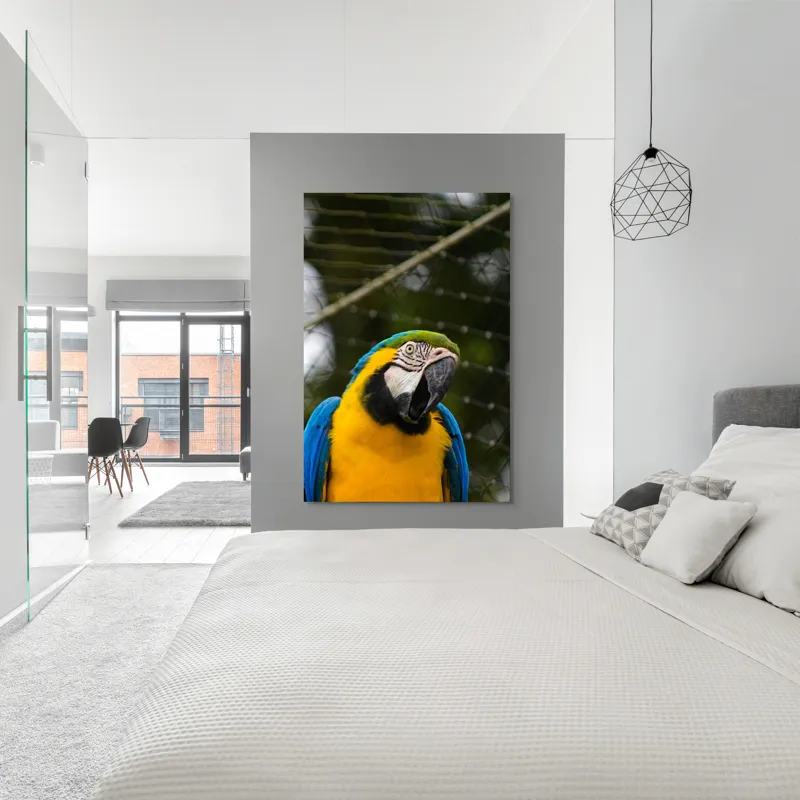 Tablou Canvas, "Papagalul curcubeu în libertate zburdalnică", Pasăre, Colorată, Papagal, Ara, Plasă, Fundal, Verde, Albastru, Galben, Privire, Pene, 100 x 150 cm – poza 5