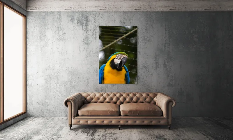 Tablou Canvas, "Papagalul curcubeu în libertate zburdalnică", Pasăre, Colorată, Papagal, Ara, Plasă, Fundal, Verde, Albastru, Galben, Privire, Pene, 100 x 150 cm – poza 6