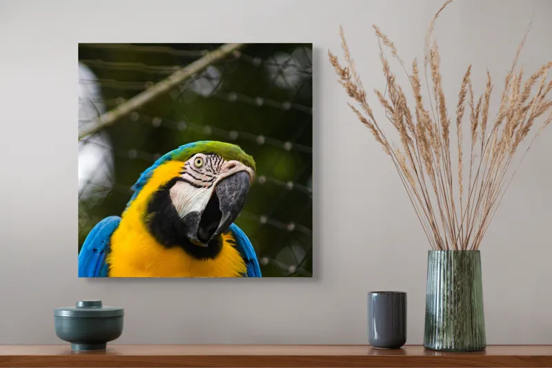 Tablou Canvas, "Papagalul curcubeu în libertate zburdalnică", Pasăre, Colorată, Papagal, Ara, Plasă, Fundal, Verde, Albastru, Galben, Privire, Pene, 50 x 50 cm – poza 4
