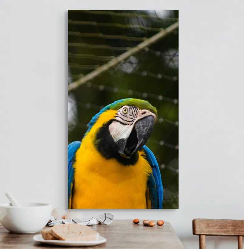 Tablou Canvas, "Papagalul curcubeu în libertate zburdalnică", Pasăre, Colorată, Papagal, Ara, Plasă, Fundal, Verde, Albastru, Galben, Privire, Pene, 50 x 90 cm – poza 3
