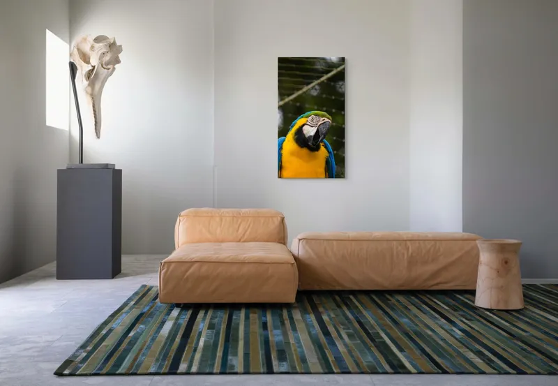 Tablou Canvas, "Papagalul curcubeu în libertate zburdalnică", Pasăre, Colorată, Papagal, Ara, Plasă, Fundal, Verde, Albastru, Galben, Privire, Pene, 50 x 90 cm – poza 5
