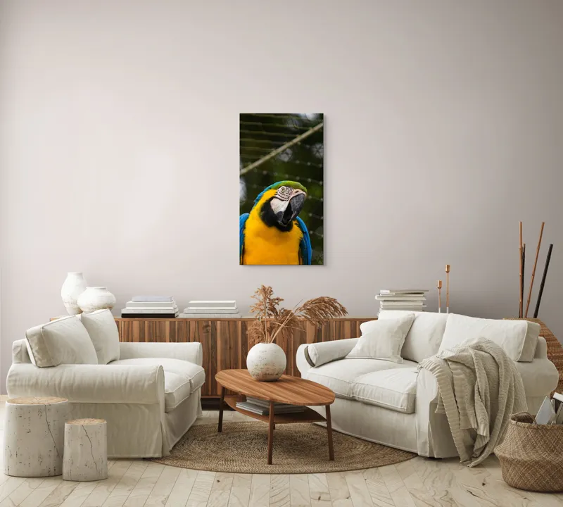 Tablou Canvas, "Papagalul curcubeu în libertate zburdalnică", Pasăre, Colorată, Papagal, Ara, Plasă, Fundal, Verde, Albastru, Galben, Privire, Pene, 50 x 90 cm – poza 7