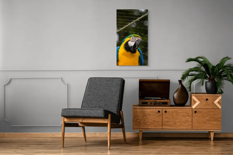 Tablou Canvas, "Papagalul curcubeu în libertate zburdalnică", Pasăre, Colorată, Papagal, Ara, Plasă, Fundal, Verde, Albastru, Galben, Privire, Pene, 50 x 90 cm – poza 8