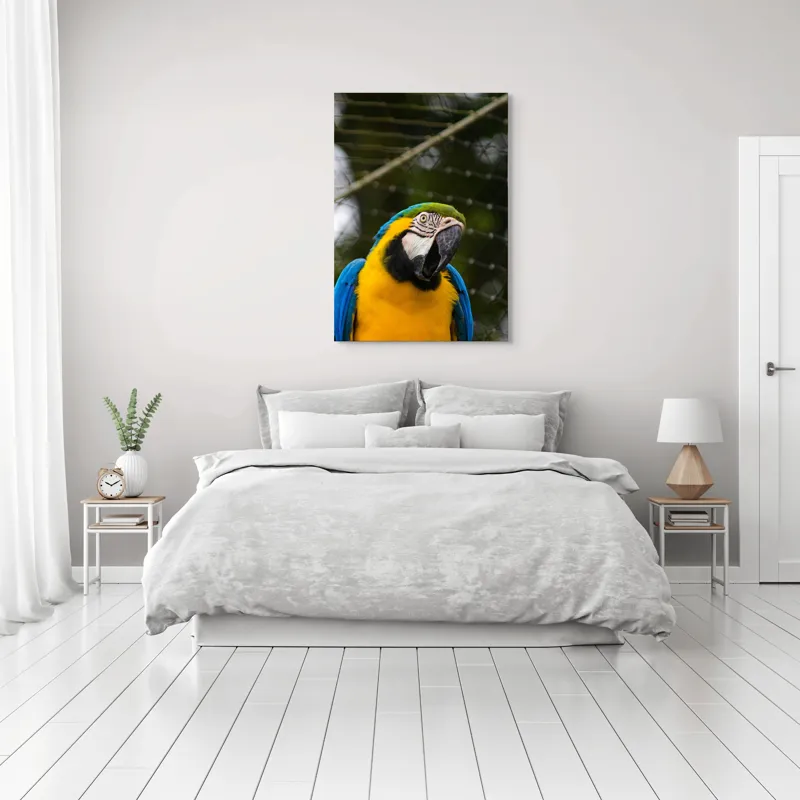 Tablou Canvas, "Papagalul curcubeu în libertate zburdalnică", Pasăre, Colorată, Papagal, Ara, Plasă, Fundal, Verde, Albastru, Galben, Privire, Pene, 70 x 100 cm – poza 3