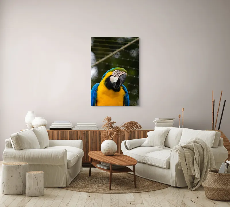 Tablou Canvas, "Papagalul curcubeu în libertate zburdalnică", Pasăre, Colorată, Papagal, Ara, Plasă, Fundal, Verde, Albastru, Galben, Privire, Pene, 70 x 100 cm – poza 4