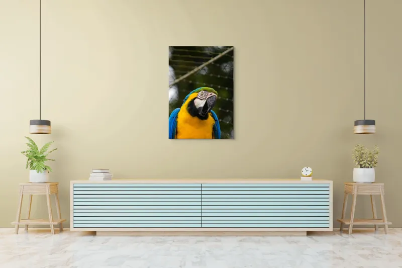 Tablou Canvas, "Papagalul curcubeu în libertate zburdalnică", Pasăre, Colorată, Papagal, Ara, Plasă, Fundal, Verde, Albastru, Galben, Privire, Pene, 70 x 100 cm – poza 5