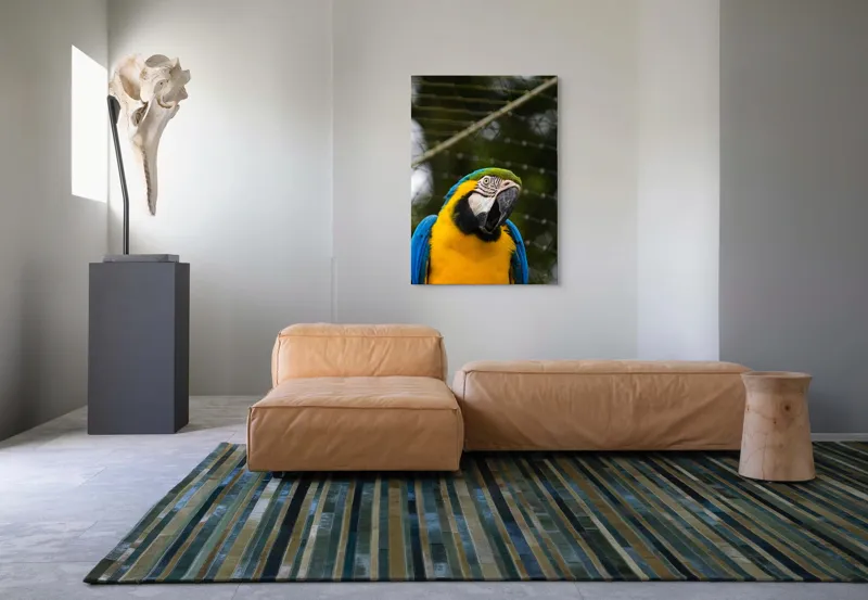 Tablou Canvas, "Papagalul curcubeu în libertate zburdalnică", Pasăre, Colorată, Papagal, Ara, Plasă, Fundal, Verde, Albastru, Galben, Privire, Pene, 70 x 100 cm – poza 7