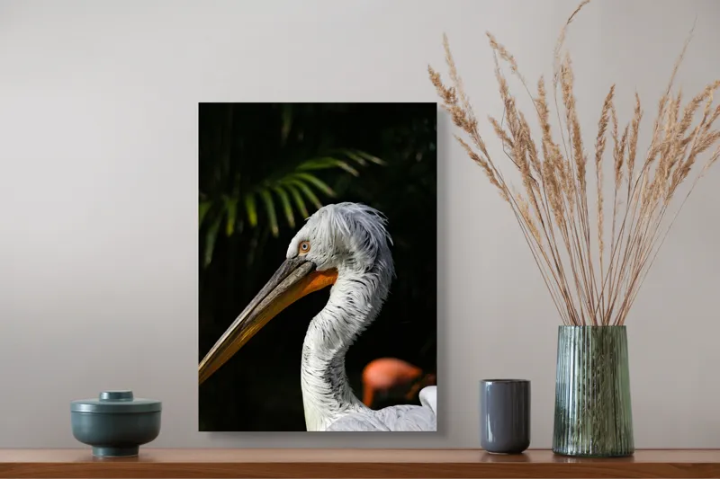 Tablou Canvas, "Pelică alb în lumina dimineții", Pasăre, Pelican, Alb, Cioc, Lung, Pene, Textură, Ochii, Contrast, Vegetație, 39 x 54 cm – poza 3