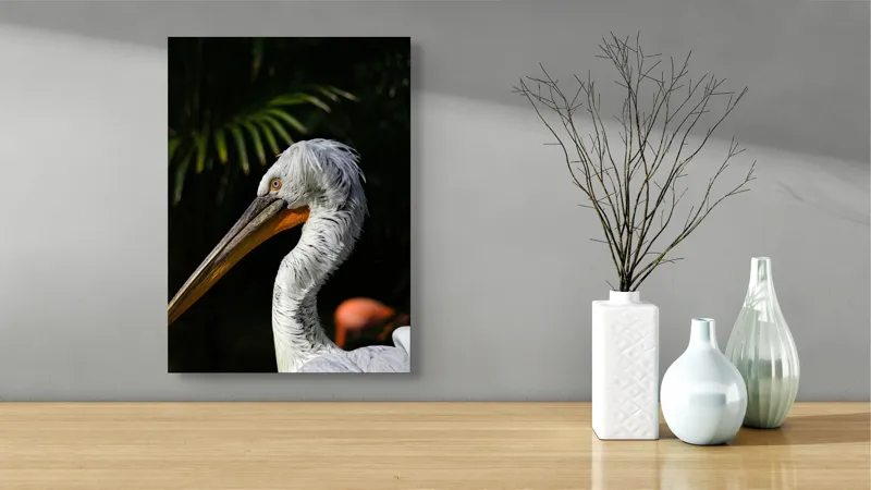 Tablou Canvas, "Pelică alb în lumina dimineții", Pasăre, Pelican, Alb, Cioc, Lung, Pene, Textură, Ochii, Contrast, Vegetație, 39 x 54 cm – poza 4
