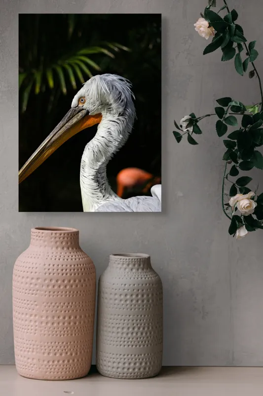 Tablou Canvas, "Pelică alb în lumina dimineții", Pasăre, Pelican, Alb, Cioc, Lung, Pene, Textură, Ochii, Contrast, Vegetație, 39 x 54 cm – poza 6